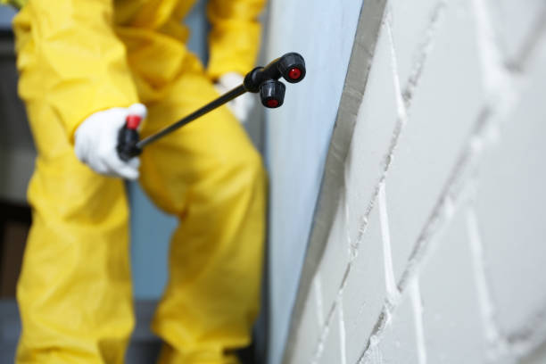 Real Estate Pest Inspections in Point, TX